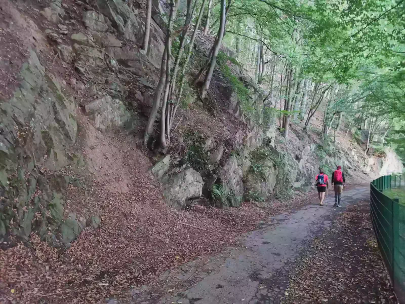 Featured image of post We just completed our 1st hike